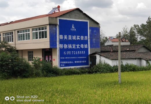 金川决定墙体广告价格的因素有哪些？